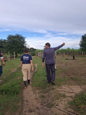Agricultores familiares de sete comunidades de São Sebastião do Uatumã (distante 247 quilômetros de Manaus) receberam orientações sobre os serviços de Assistência Técnica e Extensão Rural (Ater) prestados pelo Instituto de Desenvolvimento Agropecuário e Florestal Sustentável do Estado do Amazonas (Idam). As informações foram prestadas ao público por técnicos do órgão, que percorreram as localidades em um período de cinco dias.