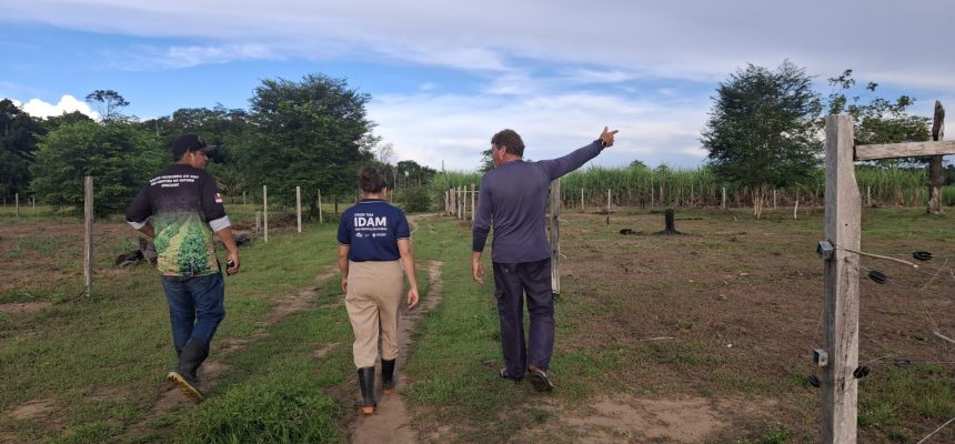 Agricultores familiares de sete comunidades de São Sebastião do Uatumã (distante 247 quilômetros de Manaus) receberam orientações sobre os serviços de Assistência Técnica e Extensão Rural (Ater) prestados pelo Instituto de Desenvolvimento Agropecuário e Florestal Sustentável do Estado do Amazonas (Idam). As informações foram prestadas ao público por técnicos do órgão, que percorreram as localidades em um período de cinco dias.