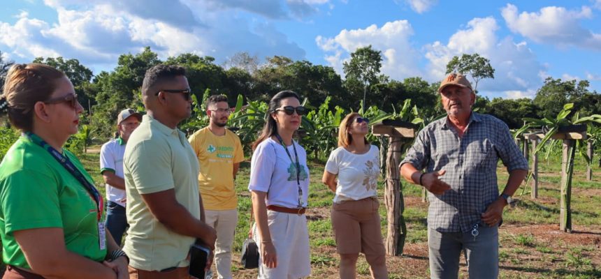 Cerca de 90 prestadores de serviços turísticos de São Sebastião do Uatumã (a 247 quilômetros de Manaus) participaram do I Workshop Turismo Uatumã, realizado na sexta-feira (18/07). A iniciativa gratuita integra o conjunto de ações de ordenamento e qualificação promovido pelo Governo do Amazonas, por meio da Empresa Estadual de Turismo (Amazonastur), com foco na interiorização do turismo e na valorização das economias locais.