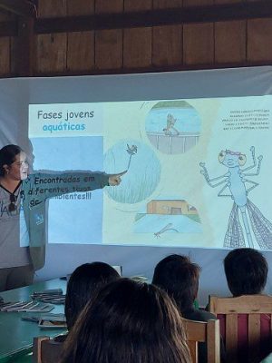 Mais de 11,3 mil insetos aquáticos foram identificados durante pesquisa científica, apoiada pelo Governo do Amazonas, por meio da Fundação de Amparo à Pesquisa do Estado do Amazonas (Fapeam), realizada em 20 igarapés com mata ripária preservada na Reserva de Desenvolvimento Sustentável (RDS) do Uatumã, em São Sebastião do Uatumã (a 247 quilômetros de Manaus).