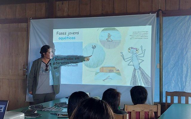 Mais de 11,3 mil insetos aquáticos foram identificados durante pesquisa científica, apoiada pelo Governo do Amazonas, por meio da Fundação de Amparo à Pesquisa do Estado do Amazonas (Fapeam), realizada em 20 igarapés com mata ripária preservada na Reserva de Desenvolvimento Sustentável (RDS) do Uatumã, em São Sebastião do Uatumã (a 247 quilômetros de Manaus).