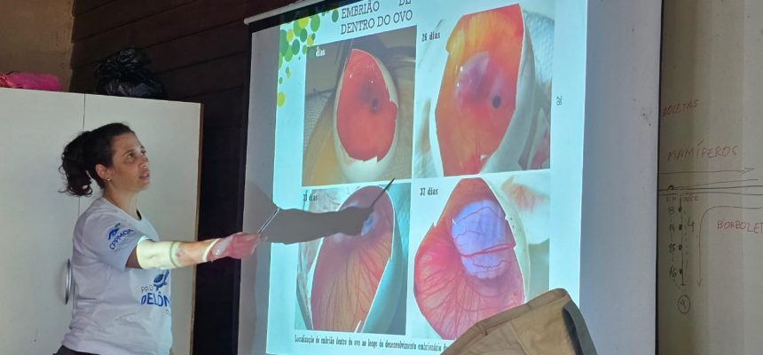 A Secretaria de Estado do Meio Ambiente (Sema) realizou, entre sábado (06) e quarta-feira (10), um encontro com comunitários para alinhar metodologias do monitoramento de quelônios na Reserva de Desenvolvimento Sustentável (RDS) do Uatumã, situada entre os municípios de São Sebastião do Uatumã e Itapiranga (a 247 e 227 quilômetros de Manaus, respectivamente).